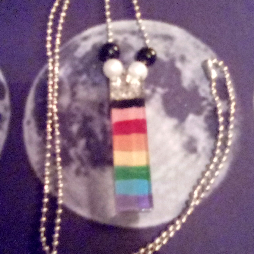 4/ $10 Gay flag gay pride necklace